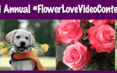 2nd Annual #FlowerLoveVideoContest Winners Announced