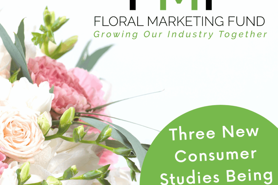 Three New Studies Graphic