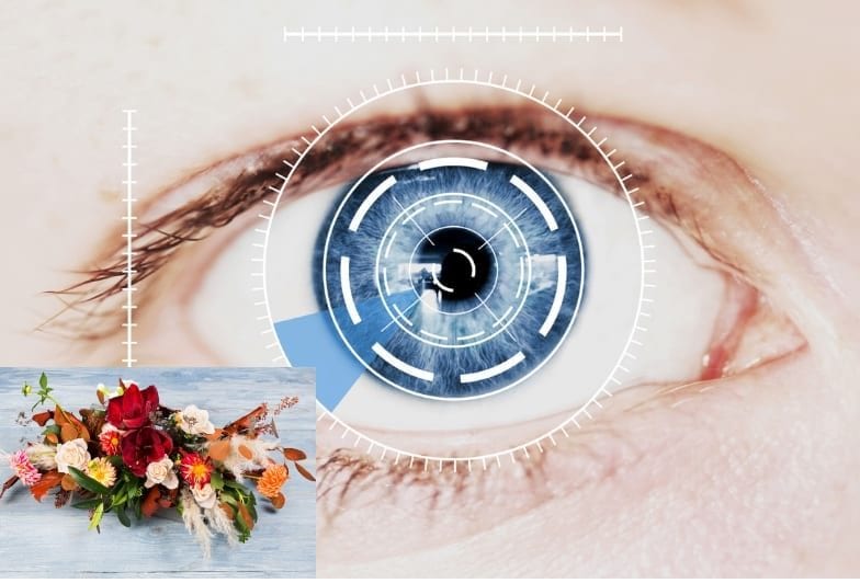 Icon for Eye Tracking study