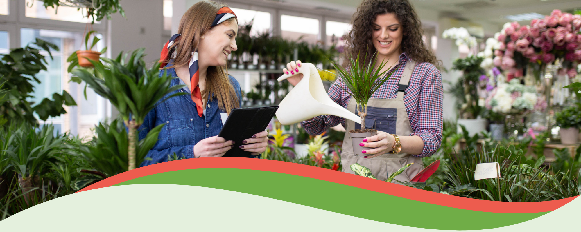 florist watering potted plant