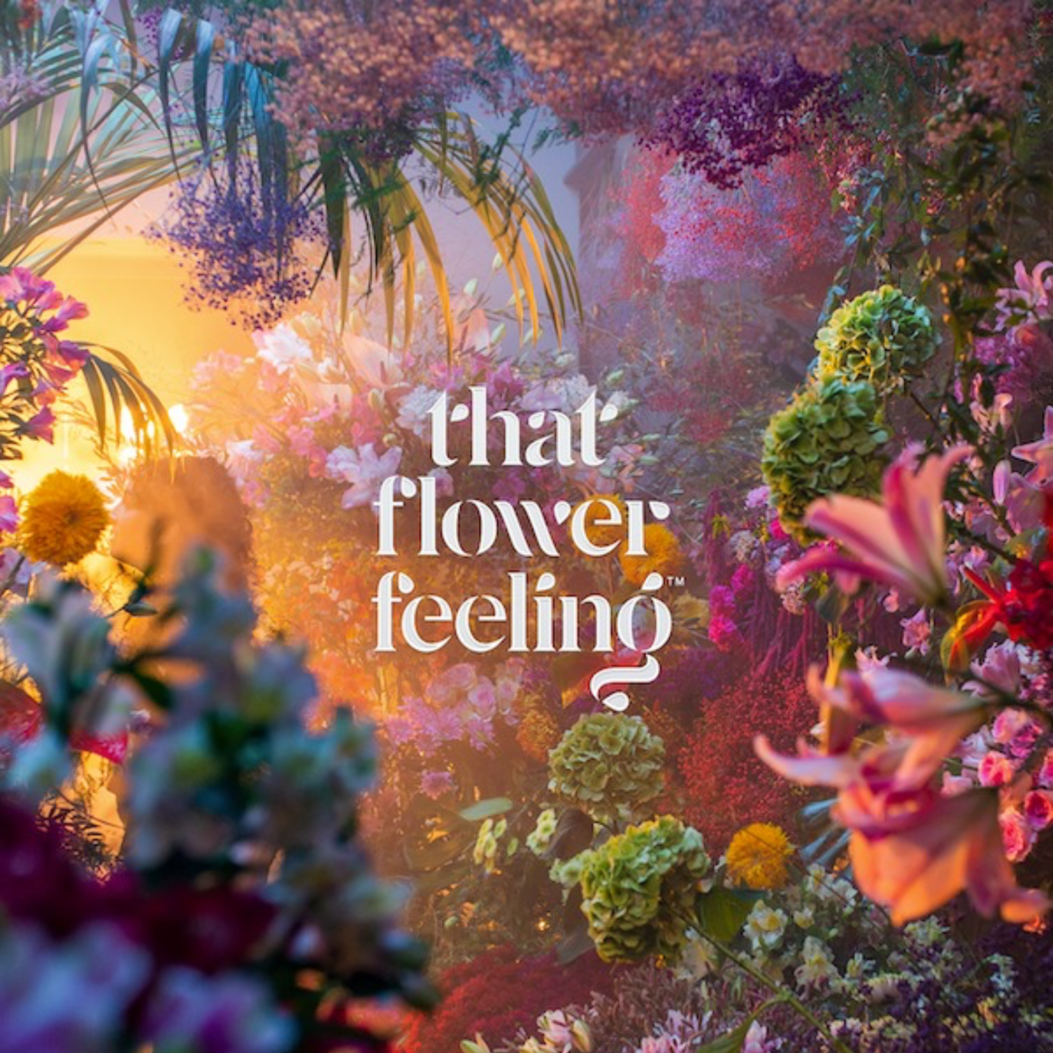 That Flower Feeling Marketing Campaign