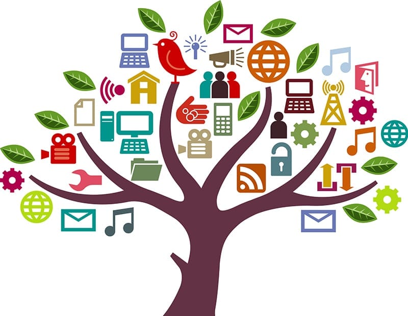 A Social Media Guide for Floral Retailers and Wholesalers